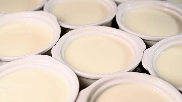 假期去哪玩最好深圳,假期去哪里玩深圳