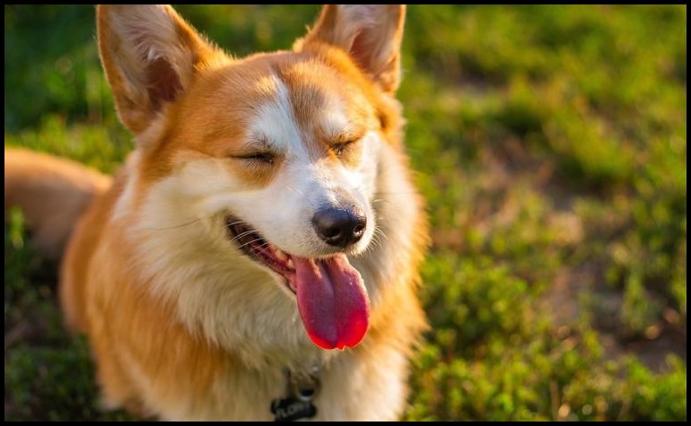 图片格式png与jpg怎么转换,图片jpg格式怎么转换psd