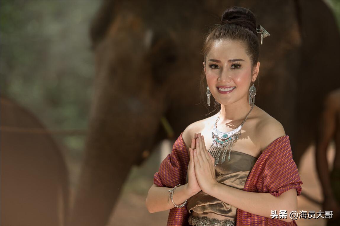 第16章回国全文阅读,小说第16章回国