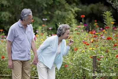 养生与长寿之道 (养生与长寿古人精辟格言)