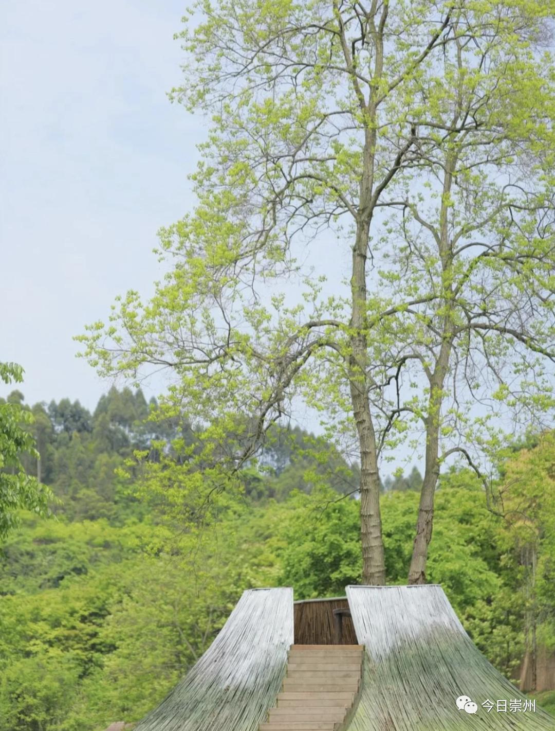 成都市区民宿排行榜前十名,崇州桤木河湿地公园民宿