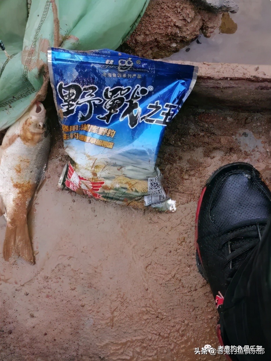 冬季小野河野钓冰钓,冬钓野河大板鲫