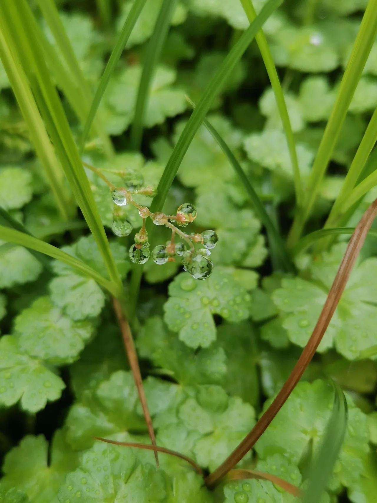 工业互联网大赛,工业互联网平台