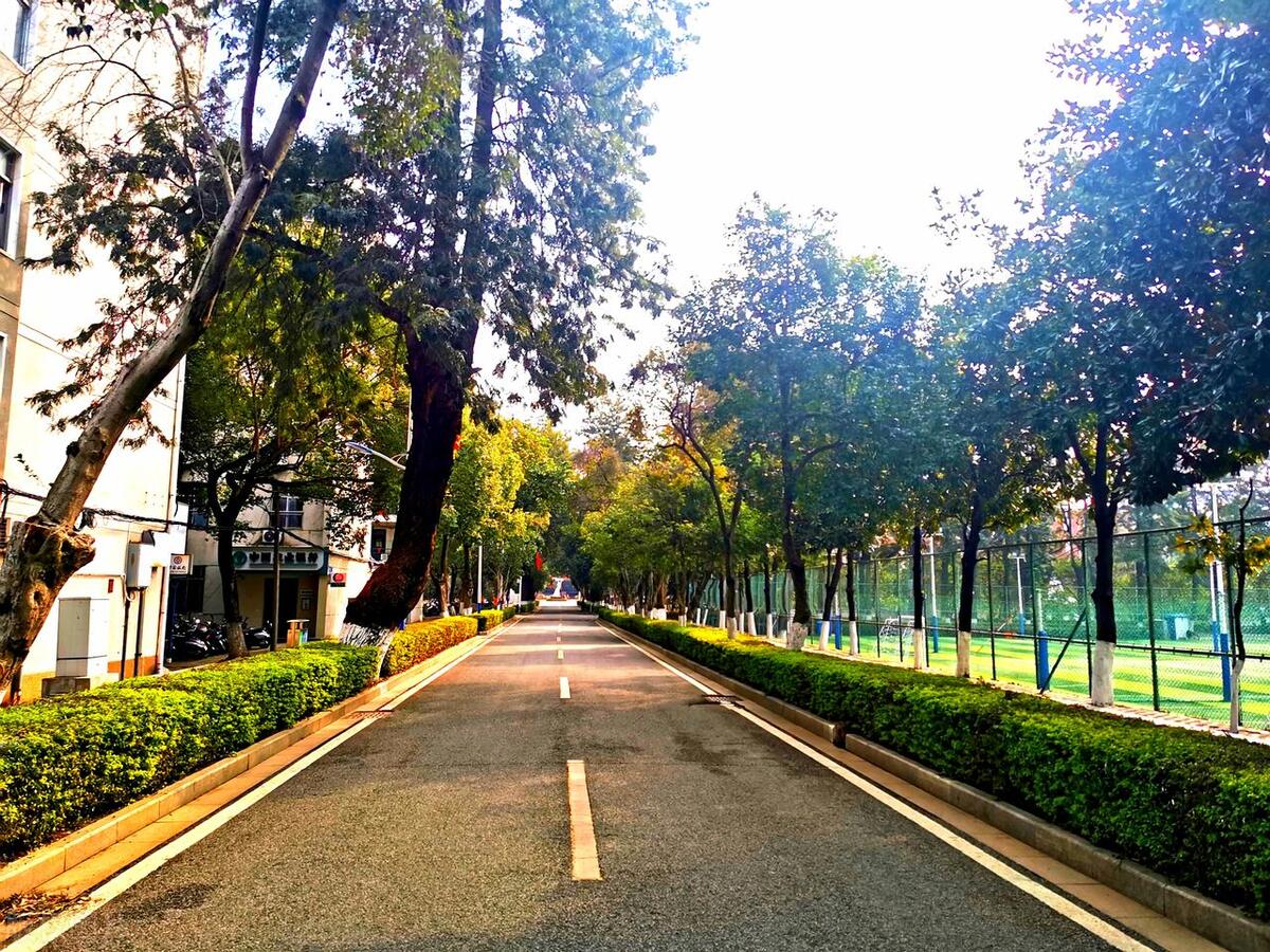 3个专业评为A+，7个专业评为A，校友会2023江西理工大学专业排名