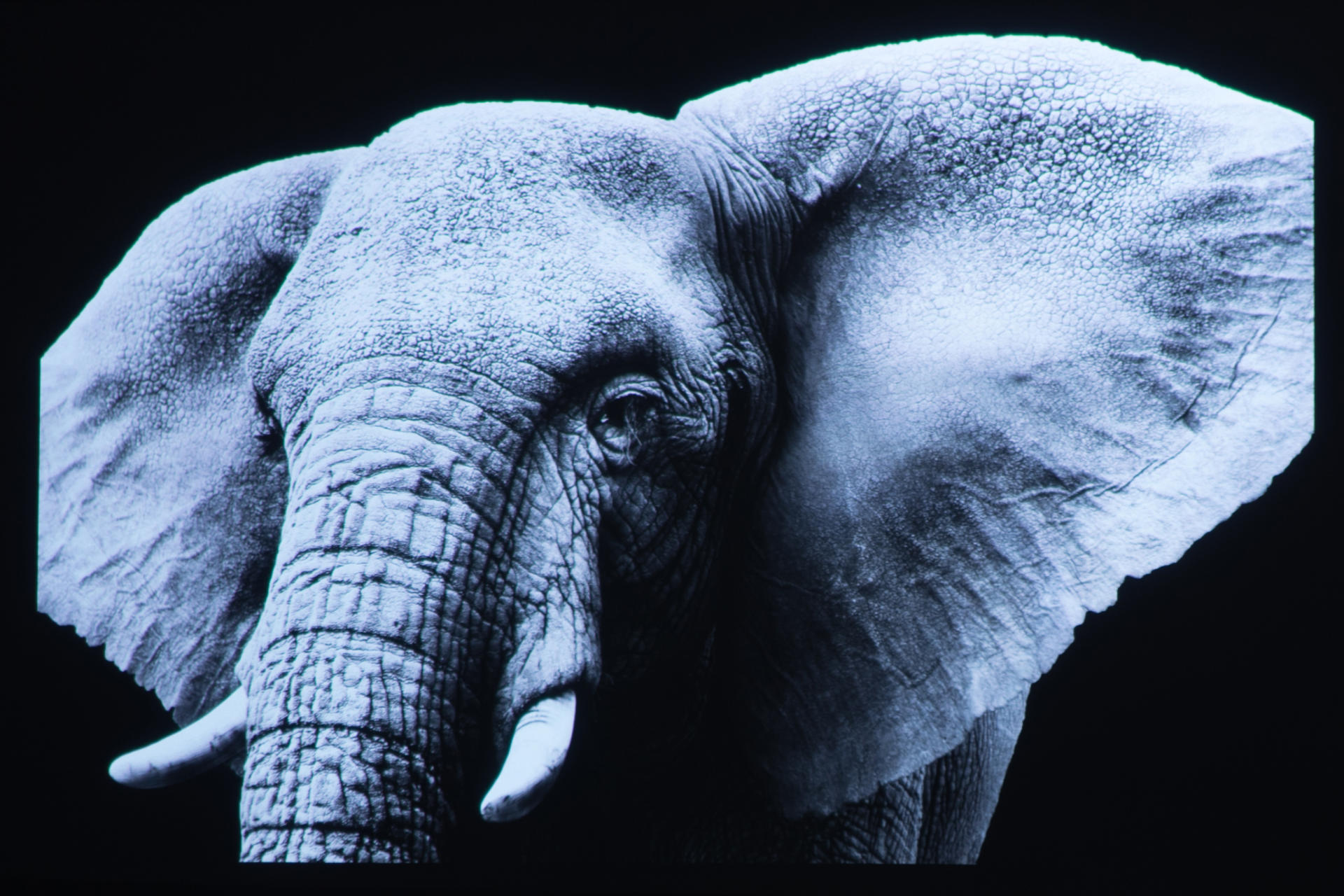 优派px710-4kpro和k701-4k,优派投影仪k701评测