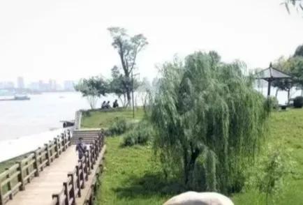 源自不系舟微博《鹦鹉洲》