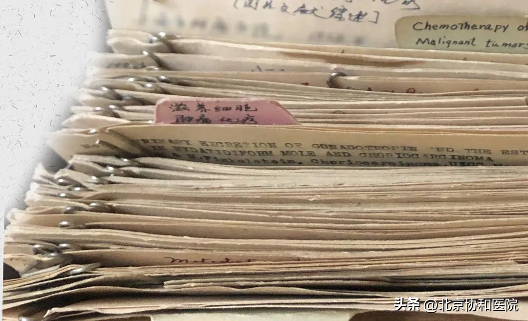 妇科肿瘤中心高质量发展巡礼|当攻坚克难成为一种习惯