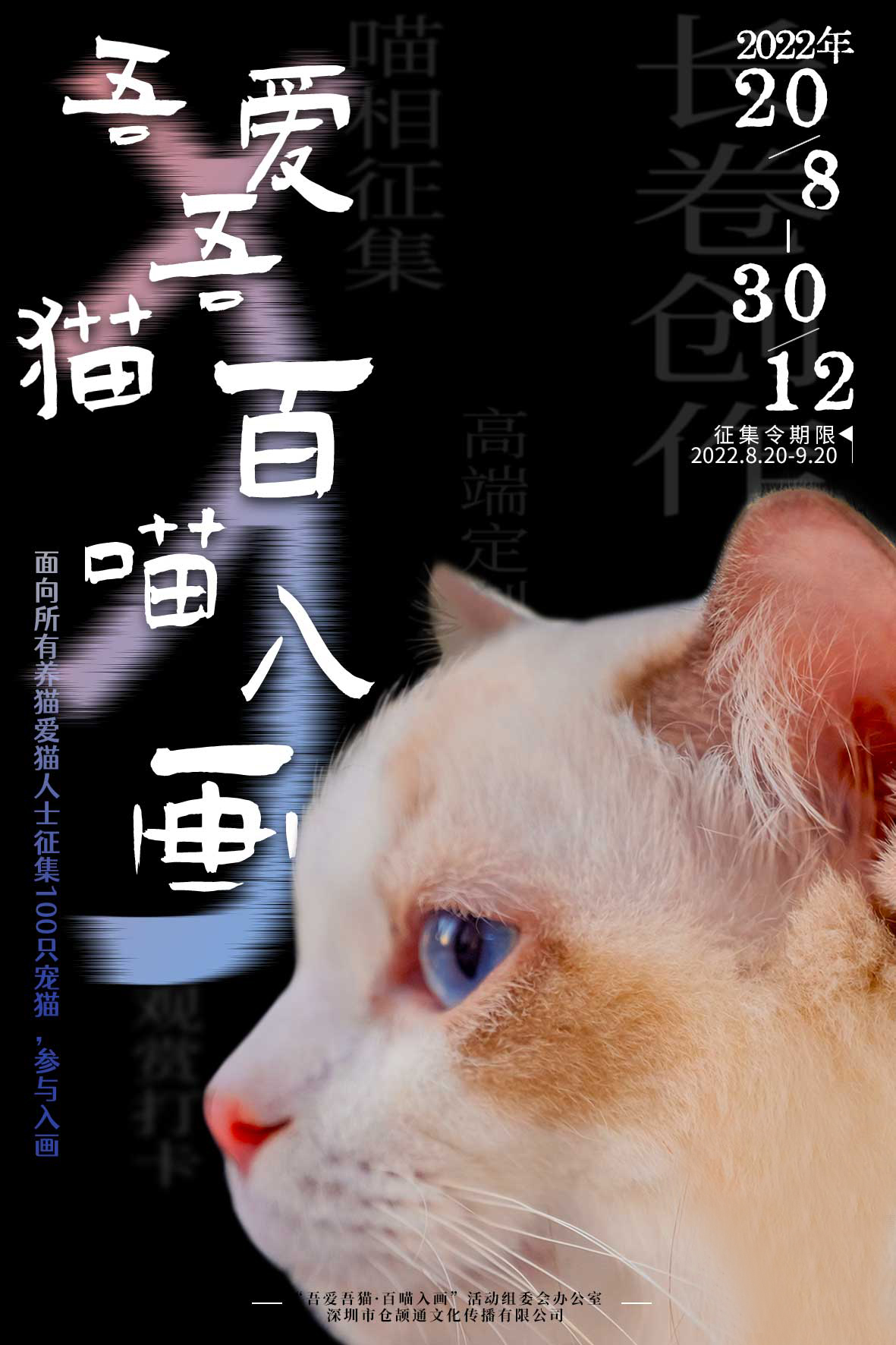 什么样的地方，竟让中国女人感叹不已？