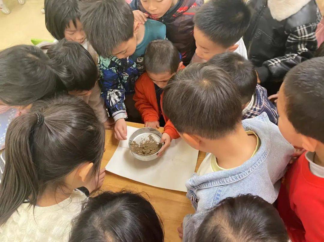 科学探索幼儿园小实验,建德诺亚舟幼儿园