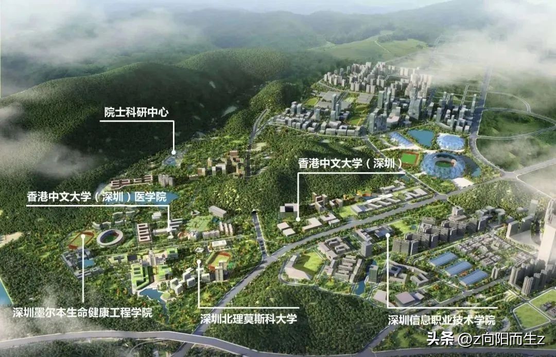 龙岗星龙园,大运星龙园