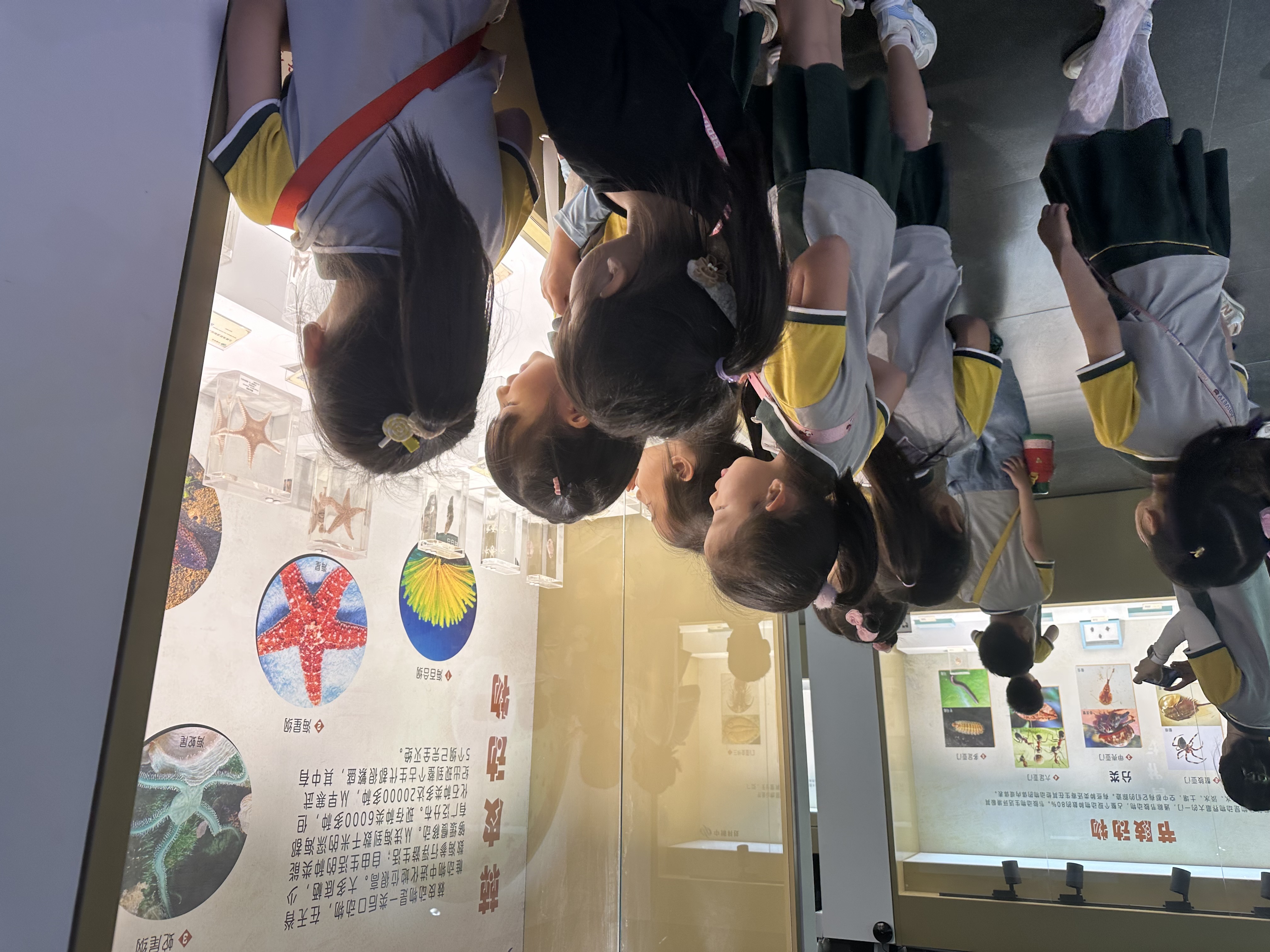 端午节郑州周边避暑游玩推荐景点,端午郑州附近游玩景点推荐一日游