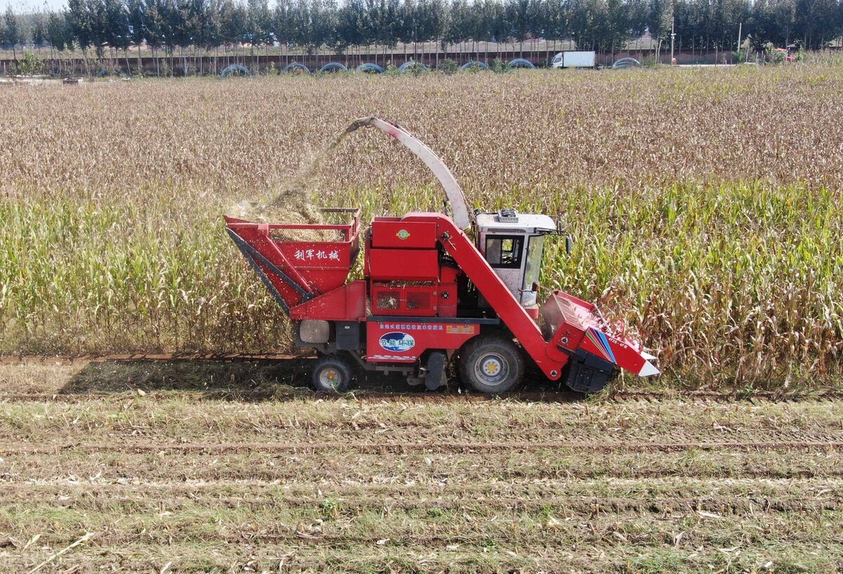 金大丰玉米收获机多少钱一台,金大丰双收玉米收获机