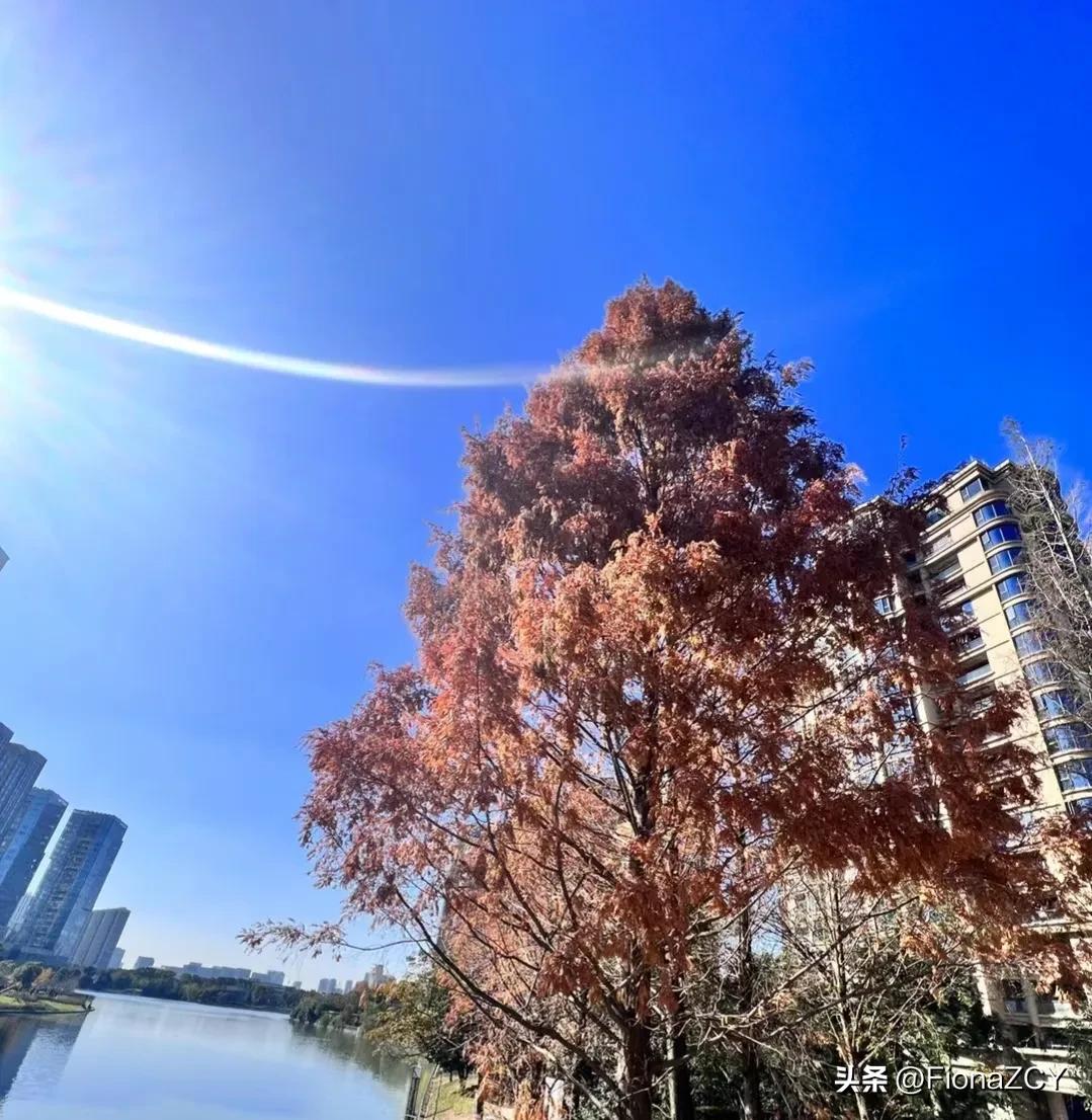 疫情如何做好自我防护,疫情期间如何自我防护方法