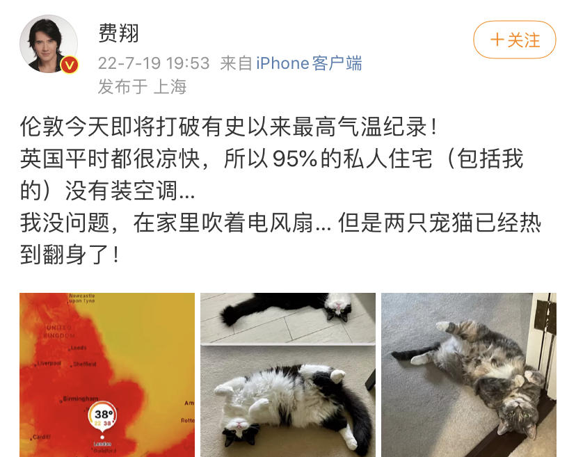 不婚、接廉价商演、走穴…一首歌唱一辈子的老牌歌星，现状各不同