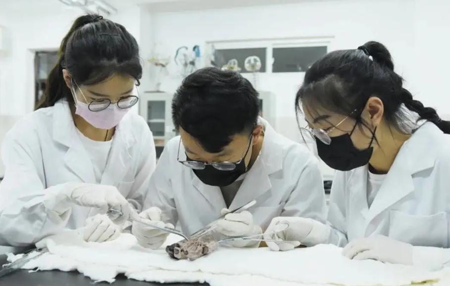 2022中国医科类大学排名更新，北中医不负众望，天津医大排在第七