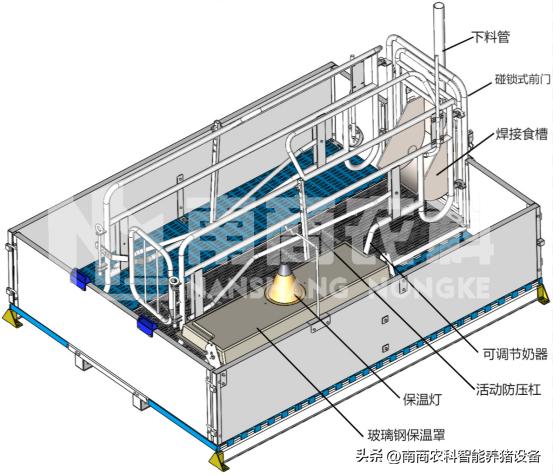 母猪产床尺寸一般是多少,自制母猪产床尺寸是多少