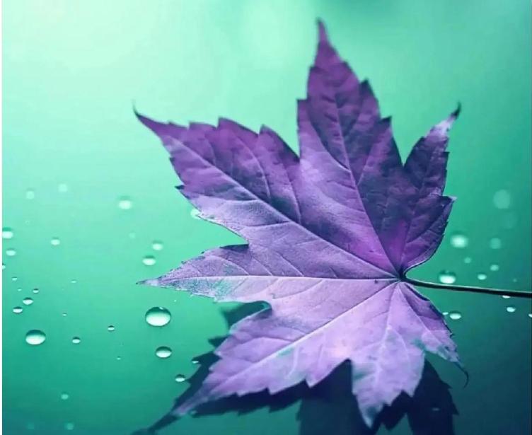 天蝎座男人的心理特征和性格分析,天蝎座男生的优缺点性格解析