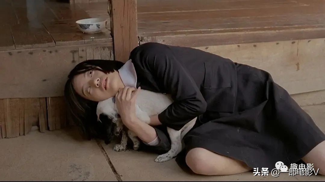 韩国最令人发指的真实事件,韩国在越战的暴行