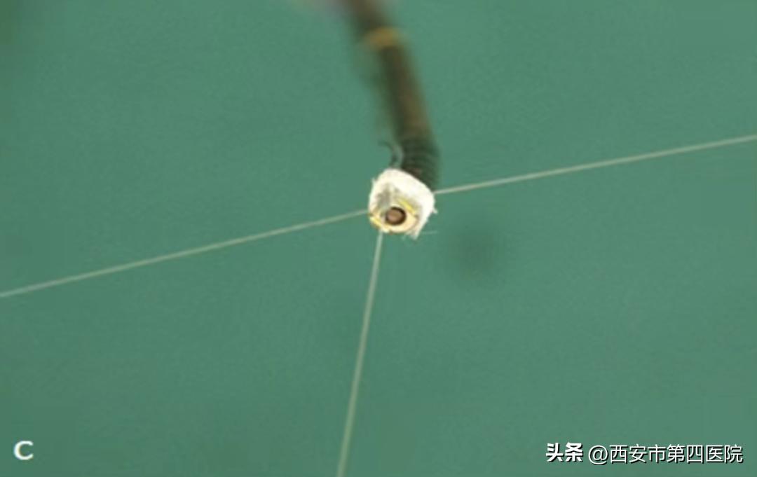 健康中国行动2030图解,健康中国行动合理标准