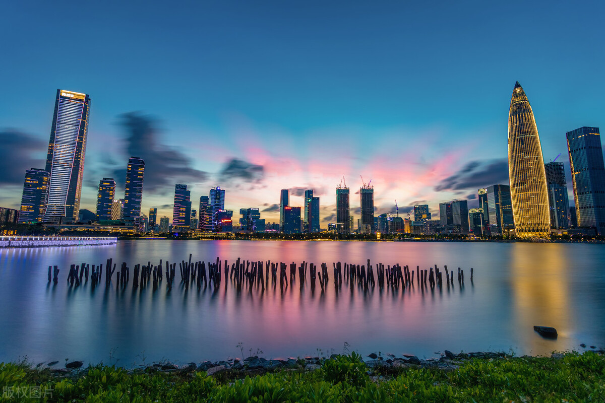 深圳湾公园为什么有海鸥呢,深圳湾公园有什么特点