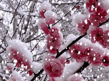 带男友办离婚妻子被丈夫打成重伤,妻子办离婚带男朋友被打