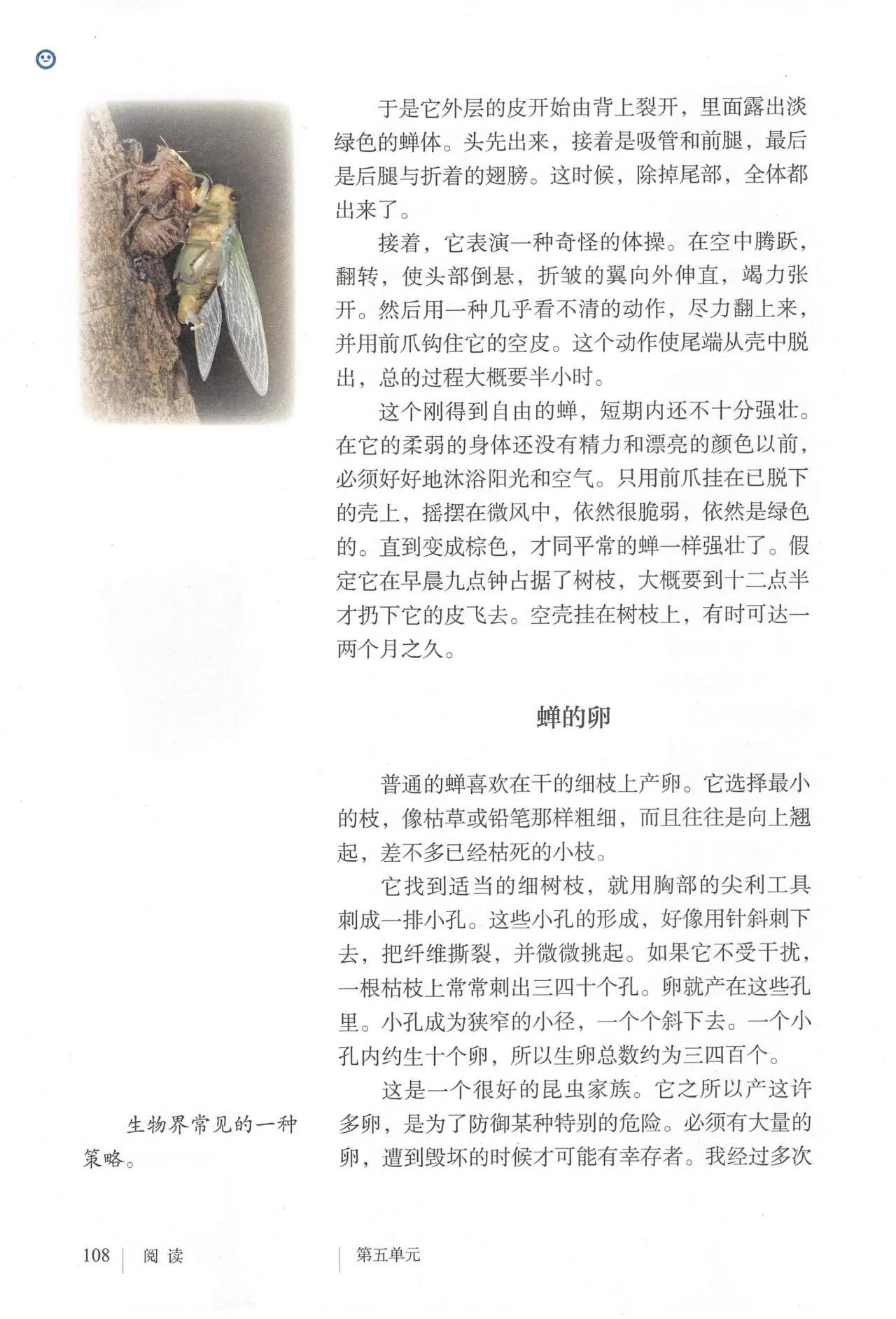 语文八年级上册电子书人教版2021,八年级上册语文书人教版电子2021