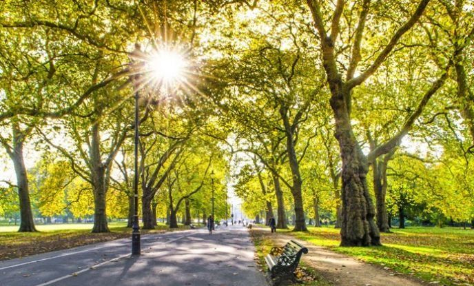 伦敦海德公园壹号开发公司,伦敦海德公园有什么