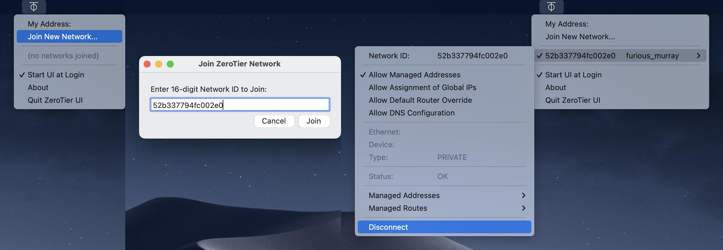 tailscale虚拟局域网,怎么用zerotier创建虚拟局域网