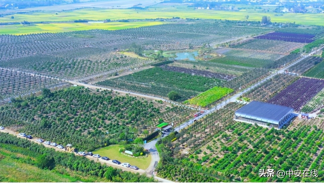 江河安澜广厦万千,江河安澜免费阅读全文