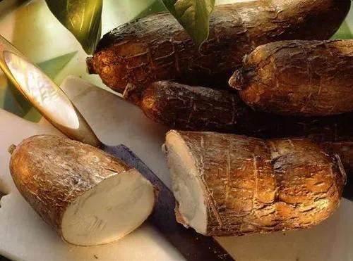 非洲人不种水稻，反而要大量种植能毒死人的木薯呢？抵不住产量高