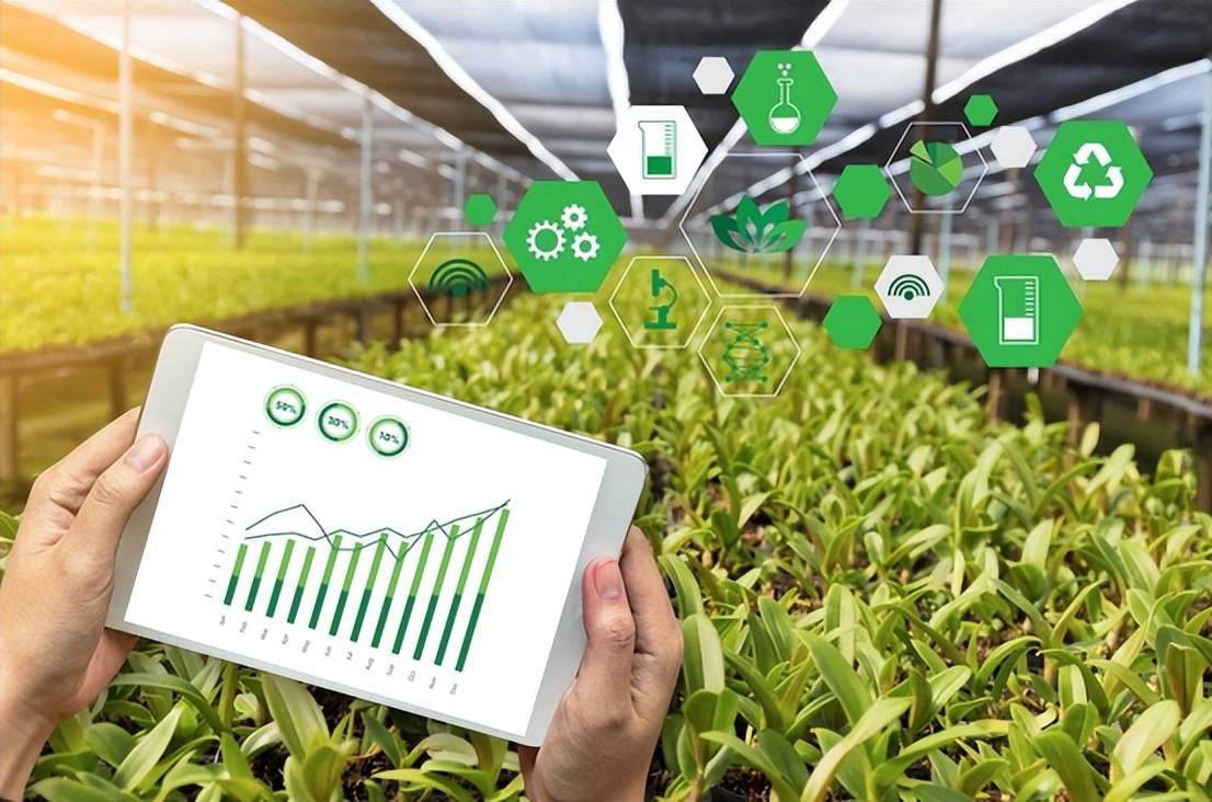 乡村旅游电商发展规划,乡村旅游互联网模式有哪些