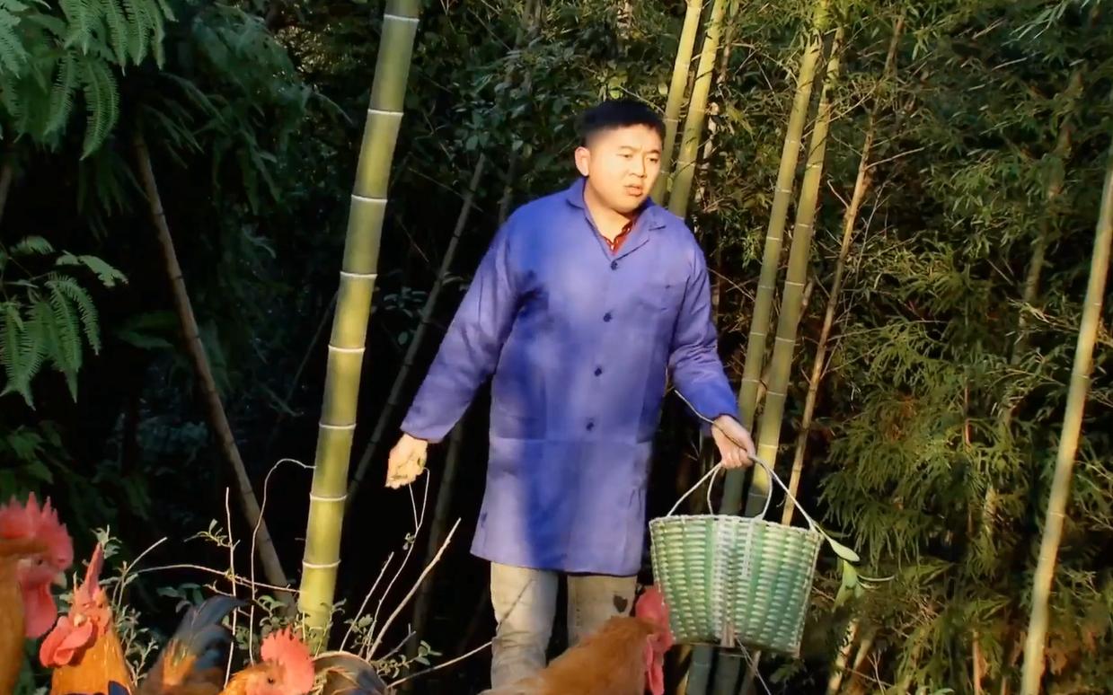 给鸡戴计步器跑满100万步,给鸡戴的计步器多少钱一个