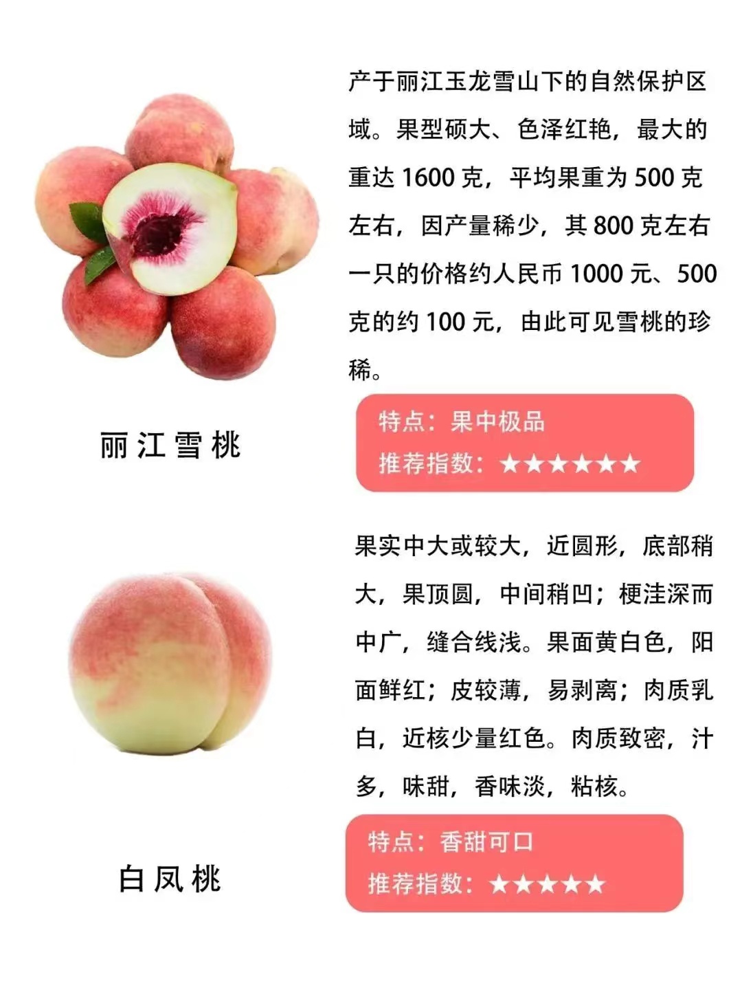 桃子品种大全及介绍,常见桃类的种类及特点