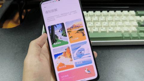 红米note系列哪款拍照好,红米note11系列对比图