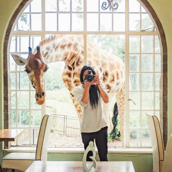 100个难得一见的照片,106个难得一见的照片