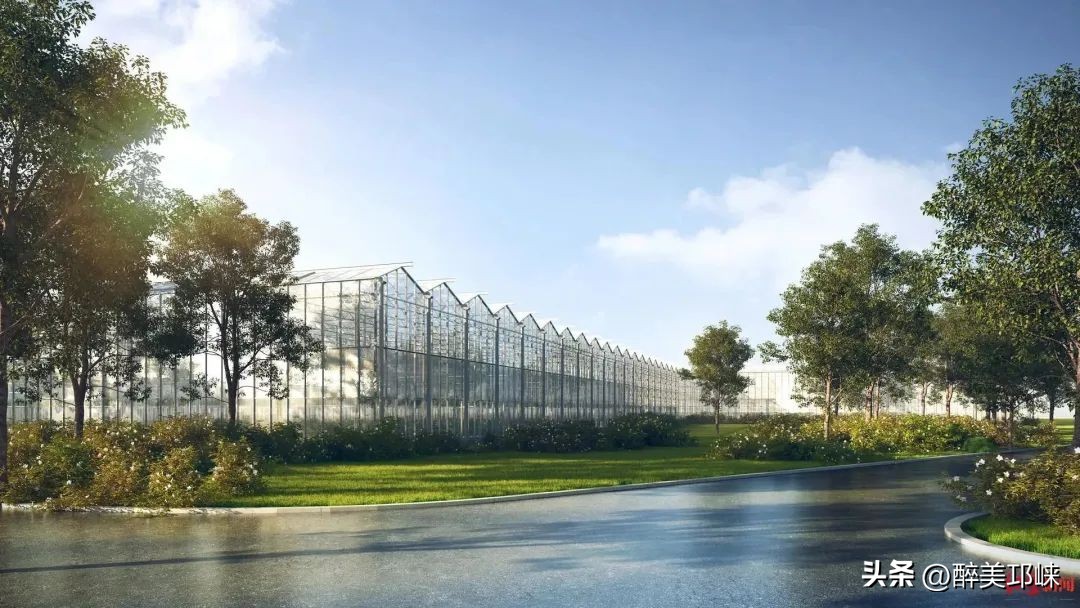 成都市邛崃市现代农业产业园,成都现代农业开工重点项目