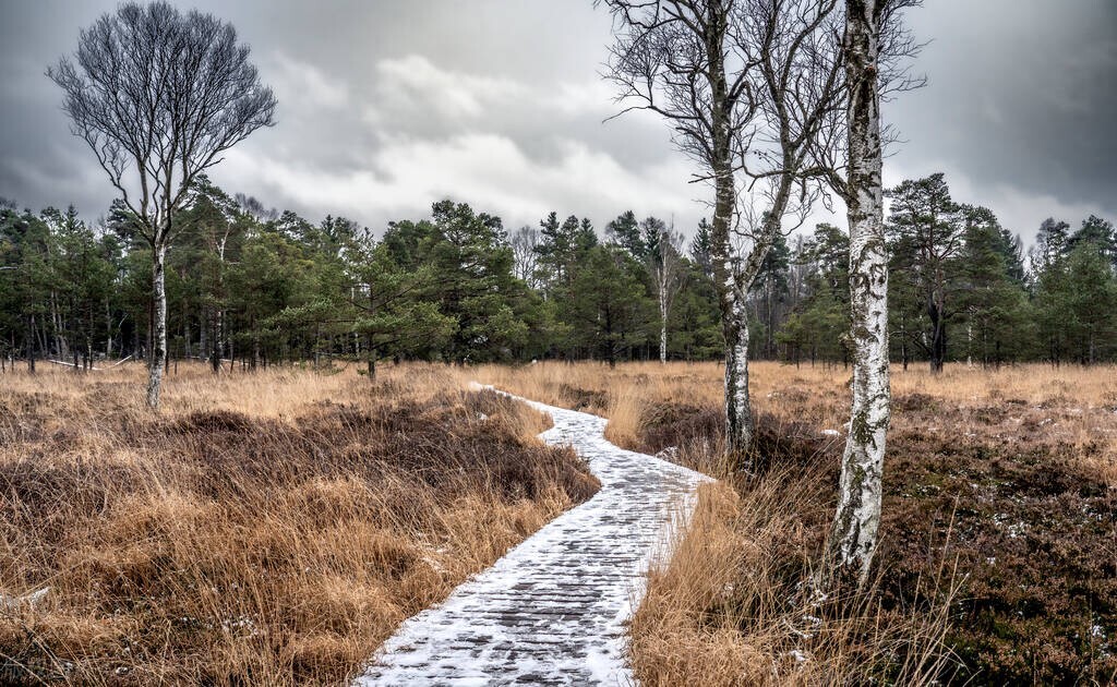 励志文案短句干净治愈人生,走心励志的文案句子简短一句话