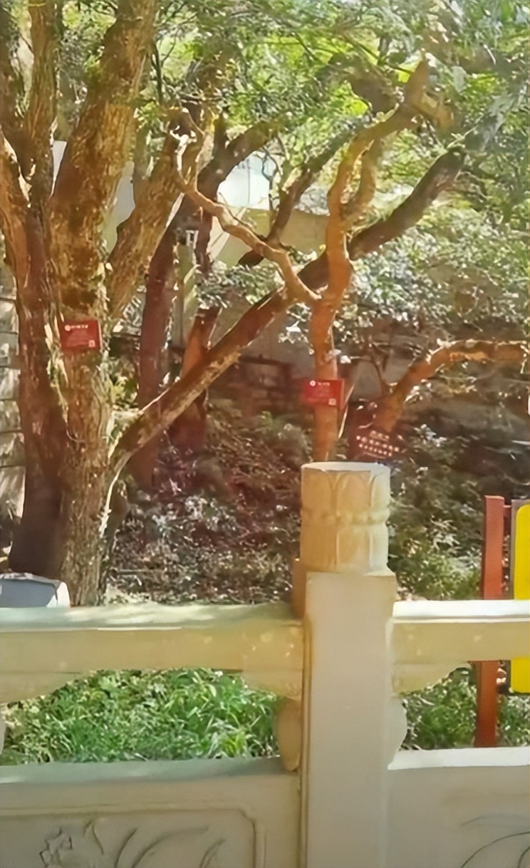 来普陀山的三件事,来普陀山一定要去的地方