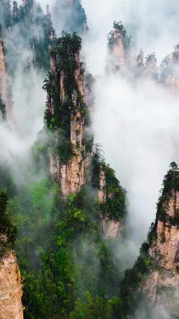 美国网红赚82亿,美国最大网红一场直播的收入