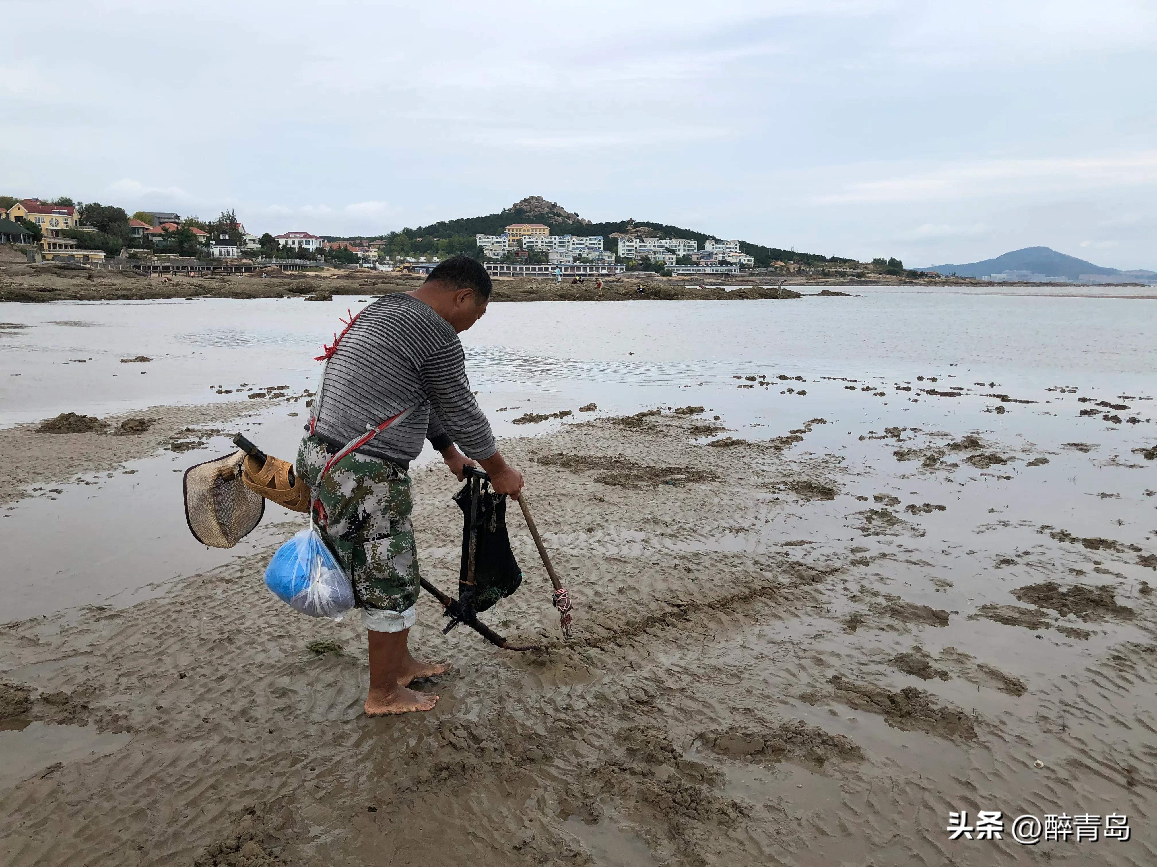 与小海鲜们捉迷藏（篇二）