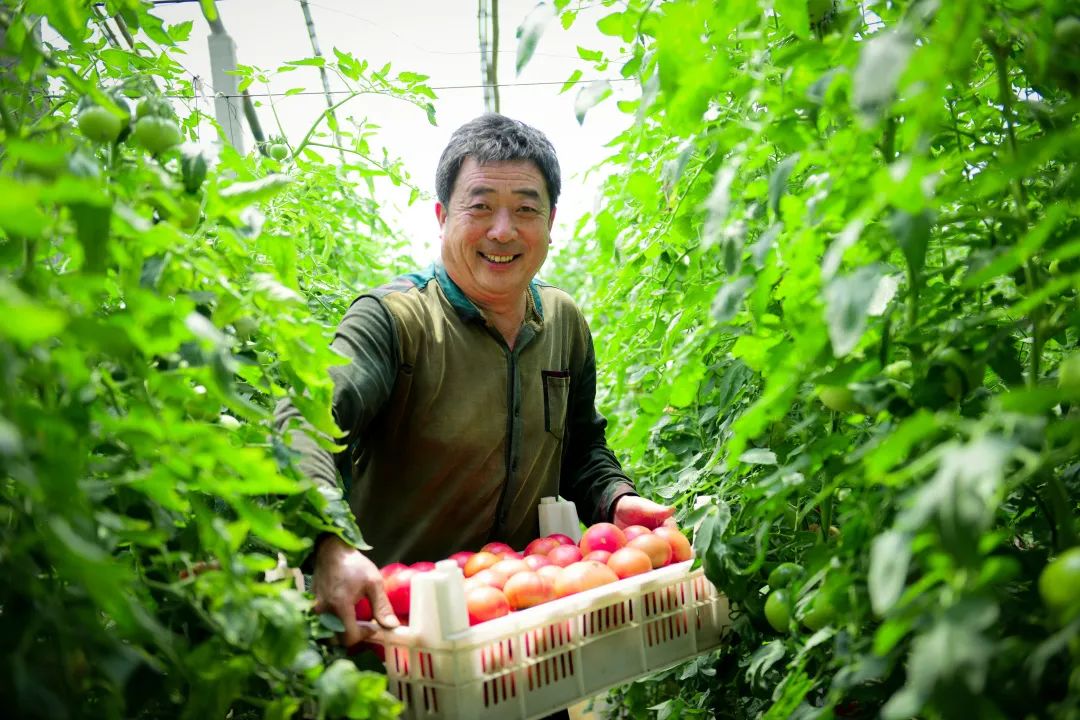 经典田园风光诗10首,一首很美的田园诗清新怡情