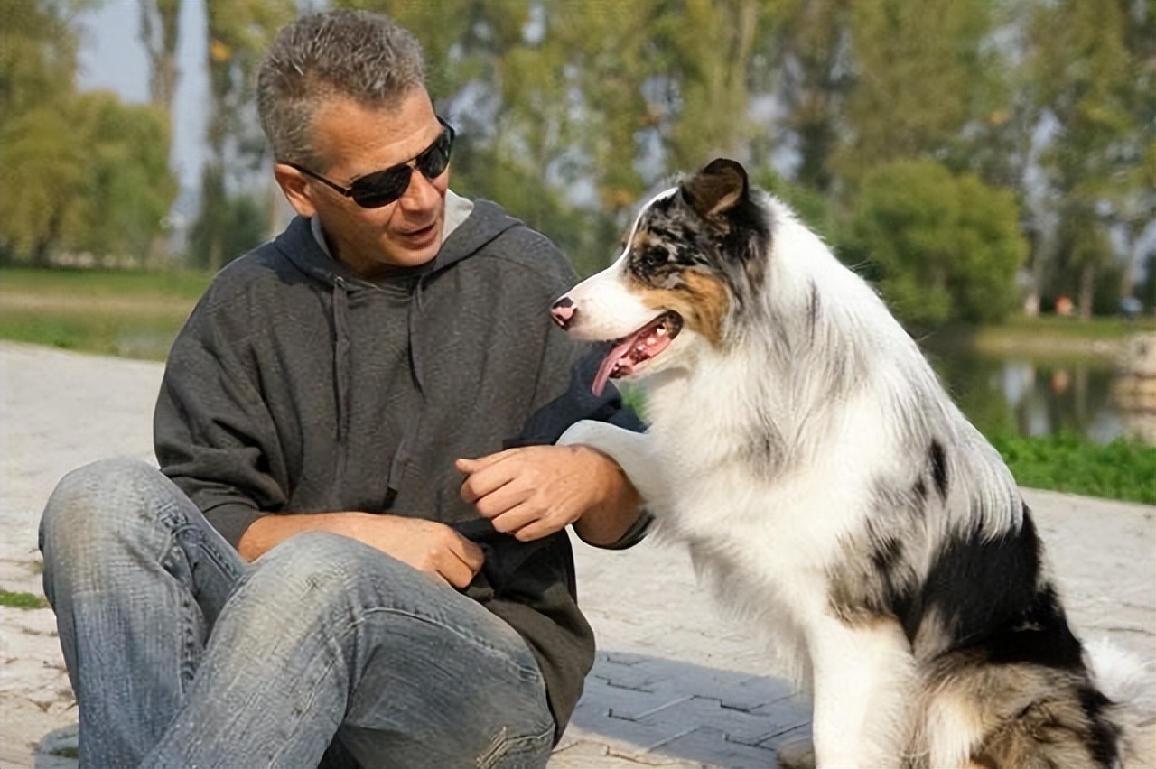 没救了，我家傻狗以为是我“亲生”的