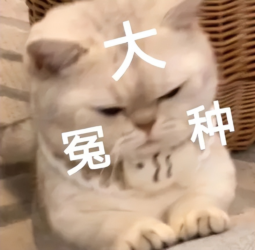 知名女主播自曝倒霉体质，账号被假冒，买房却又遇无法交付