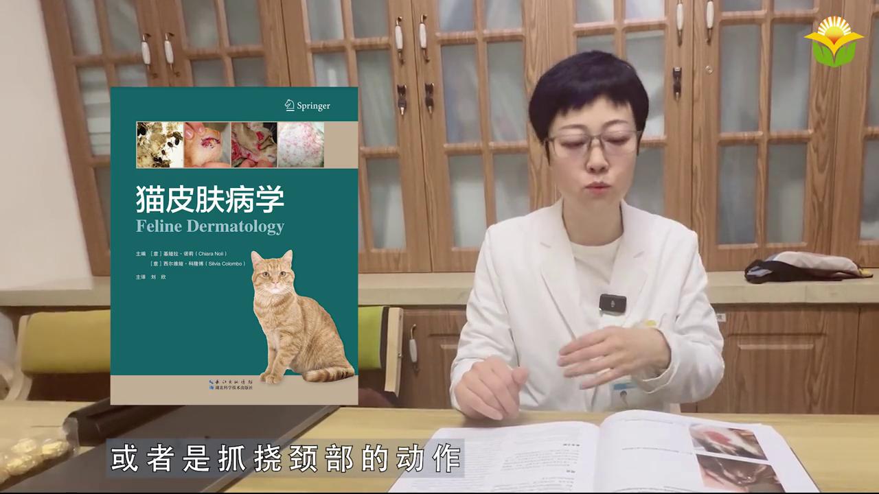 新书推荐：猫皮肤病学#宠物医生也会喜欢看的书