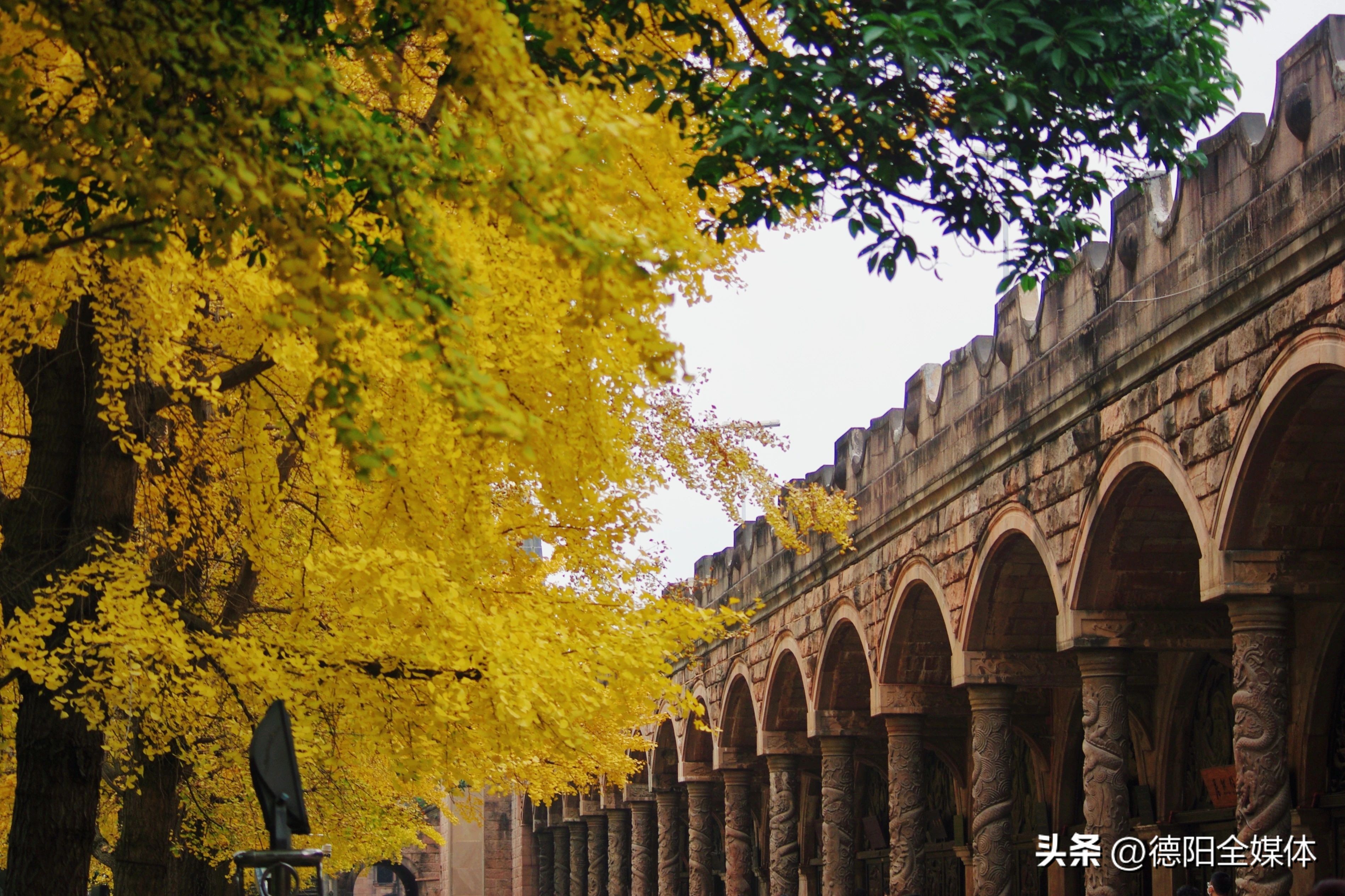 德阳高槐网红打卡地,德阳周边一日游网红打卡地冬天