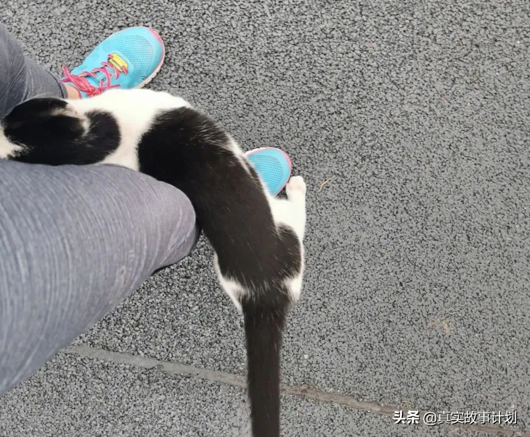 单曲循环的故事都藏在心里,单曲循环里都是故事