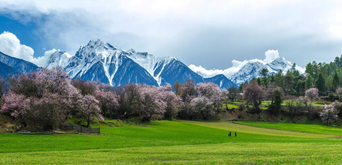 尿频尿急怎么办?中医经典方清热泻火,利尿通淋