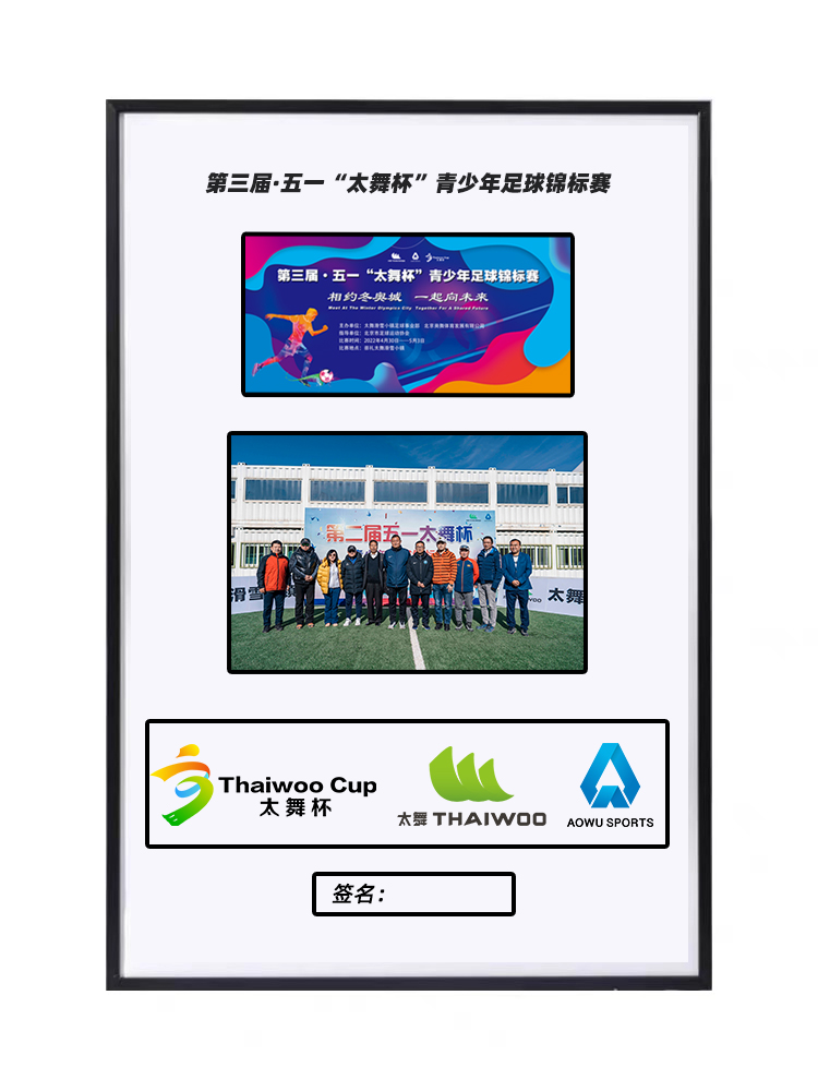 太舞杯青少年足球锦标赛,太舞杯足球比赛直播