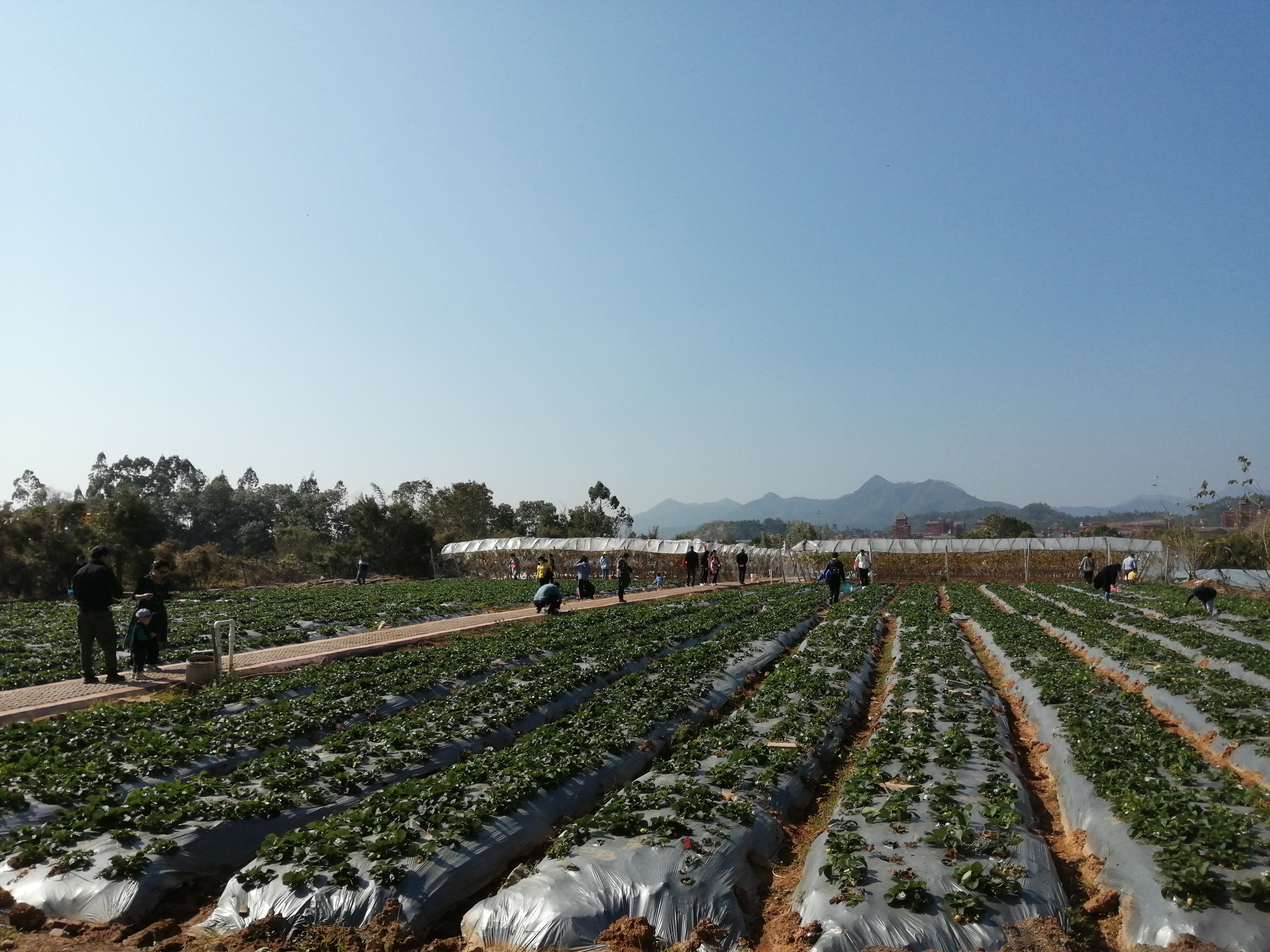 客天下(四):客天下田园花海CS战场山地车小朋友玩得乐不思蜀