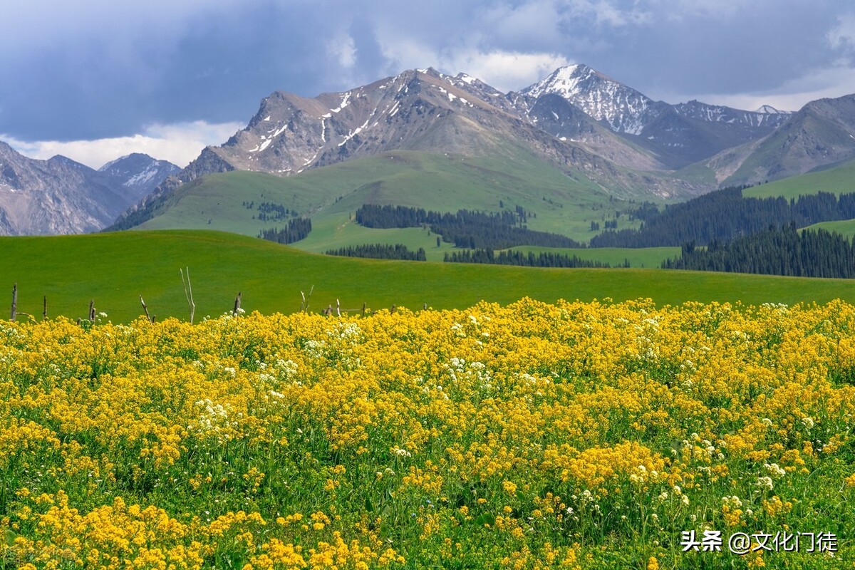 喀拉峻大草原导游词,喀拉峻草原导游词1000字